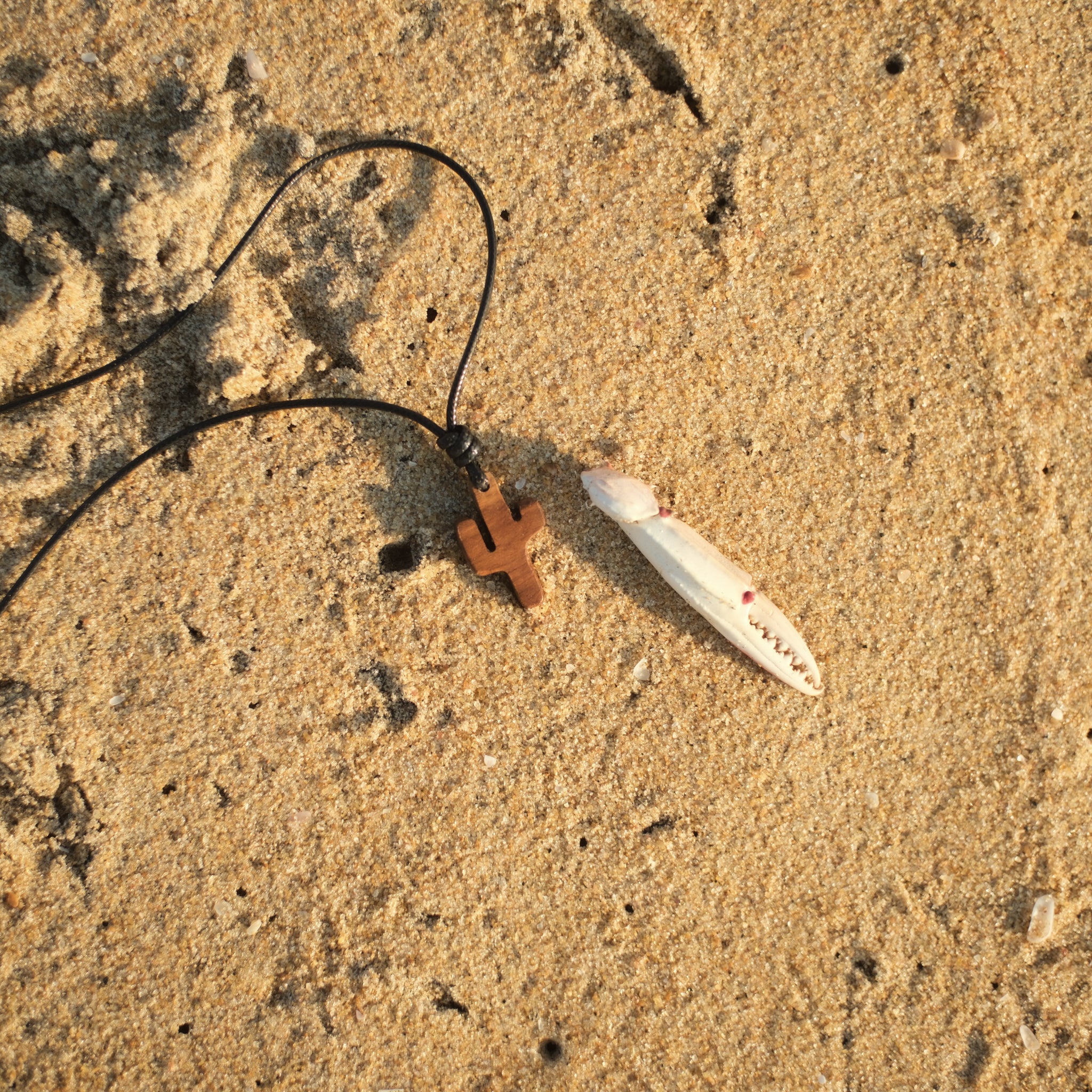 Cactus | Teak Wood Pendant