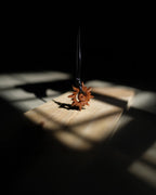 Sun Spiral | Teak wood Pendant